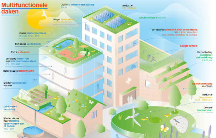 Factsheet multifunctionele daken dakenplan.nl