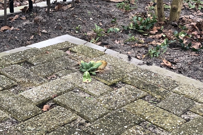 Waterdoorlaatbaar legpatroon van klinkers